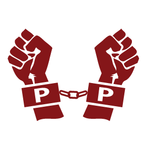 P-P Problem Icon